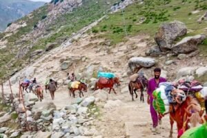 Climate Change Kashmir