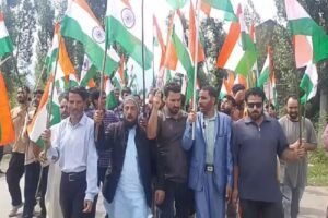 Kulgam (Kashmir)